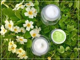 Organic herbal skincare cream with fresh flowers and green leaves by TrueLeaf Organic Store